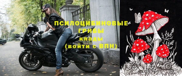 дурь Мегион