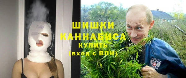МДПВ Медвежьегорск
