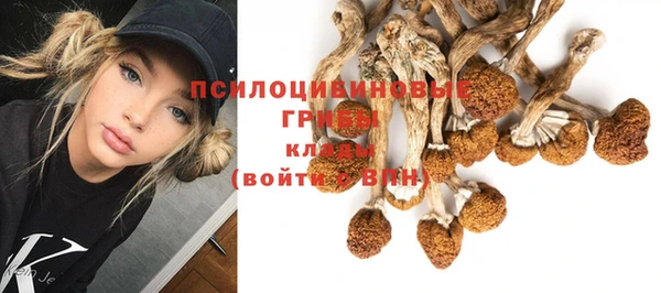 дурь Медногорск