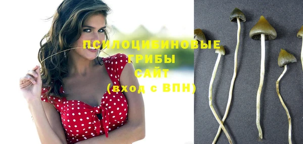 МДПВ Медвежьегорск