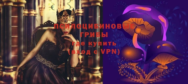 дурь Медногорск